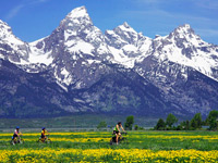 Biking in Grand Teton National Park Vacations